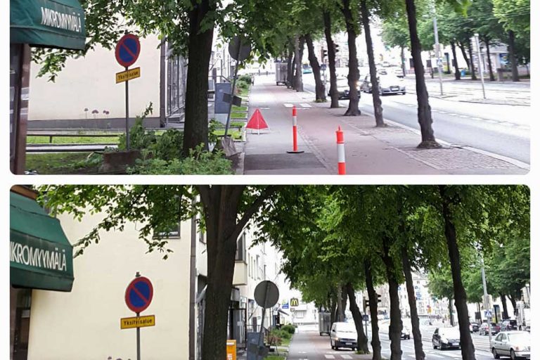 puiden hoitoleikkaus kaupungissa